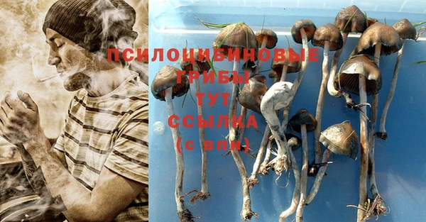 амф Краснотурьинск