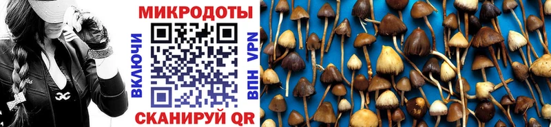 Псилоцибиновые грибы Psilocybe  Купить где  Асино 